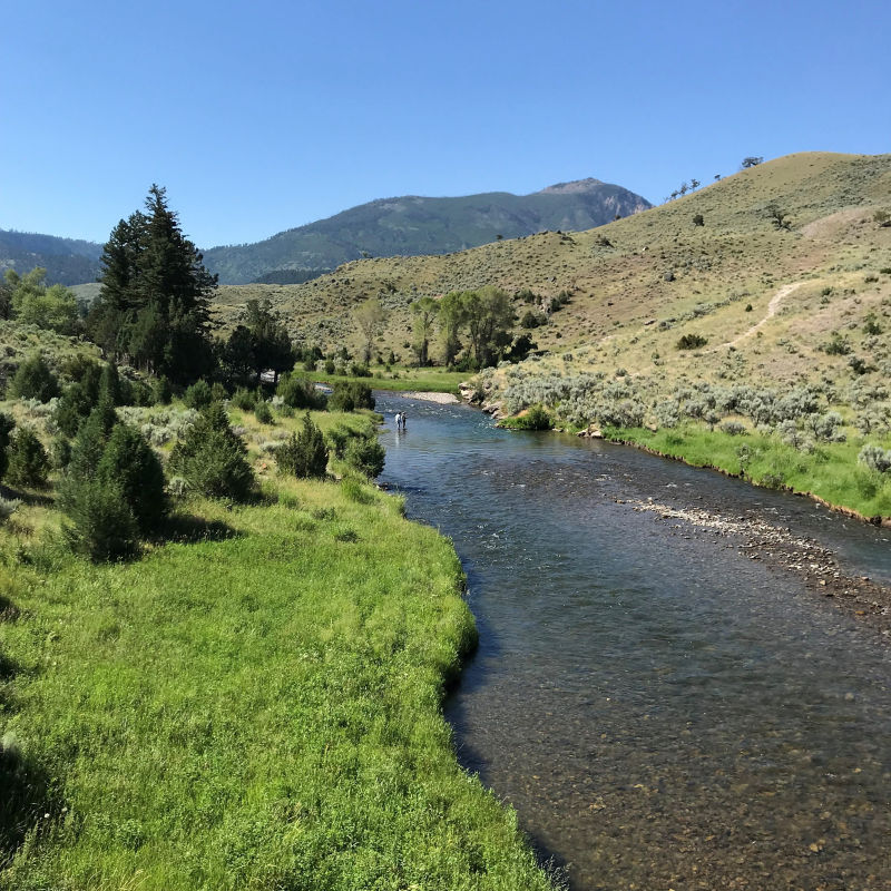 8C6R_Hubbards_Yellowstone_Lodge_1